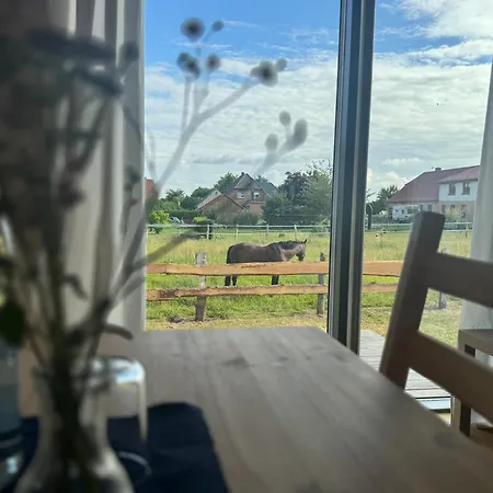 Gemütliches Tiny Haus Auf Dem Land