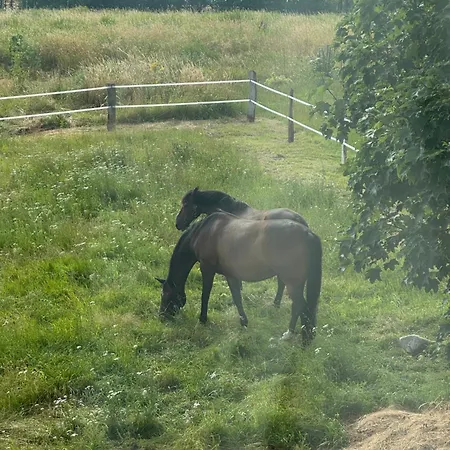 Gemütliches Tiny Haus Auf Dem Land * Schwasdorf