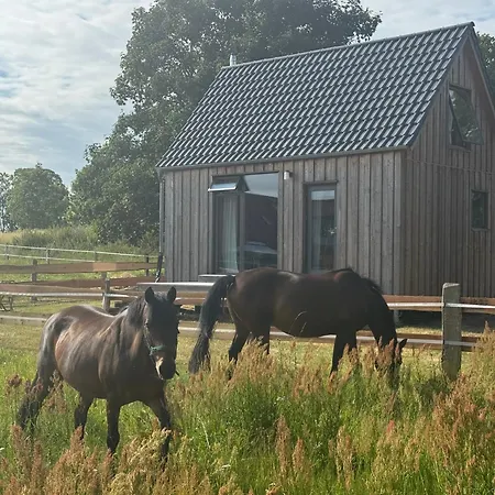 Сasa de vacaciones Gemütliches Tiny Haus Auf Dem Land Schwasdorf