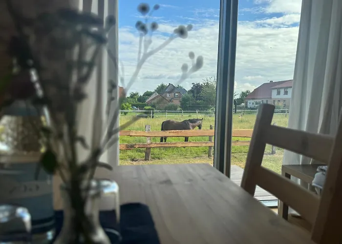 Gemuetliches Tiny Haus Auf Dem Land