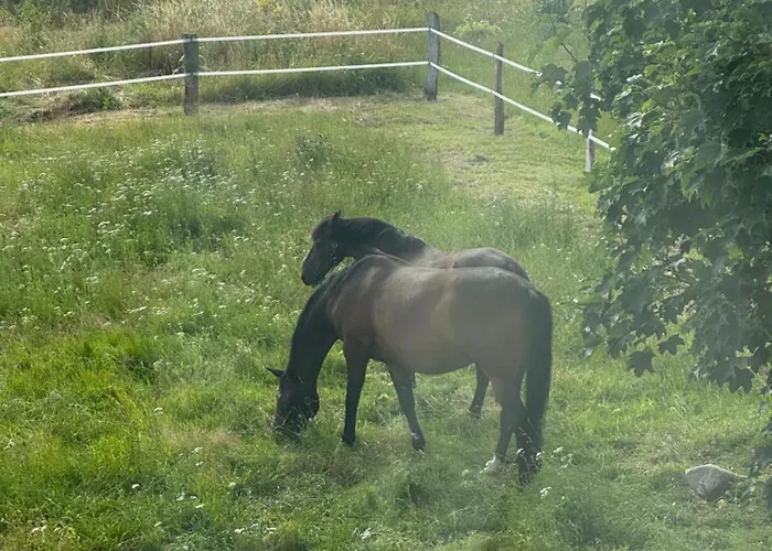 Gemuetliches Tiny Haus Auf Dem Land * Schwasdorf