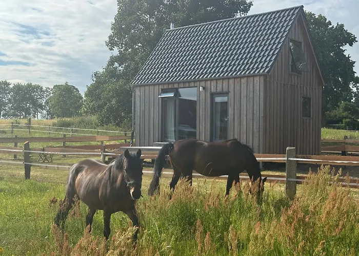 Casa de Férias Gemuetliches Tiny Haus Auf Dem Land Schwasdorf